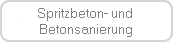 Spritzbeton- und 
Betonsanierung