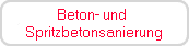 Beton- und 
Spritzbetonsanierung