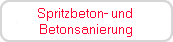 Spritzbeton- und 
Betonsanierung